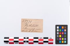 Etikett zu Bronzeschwanenhalsnadel (NHMW-PRAE-035778)